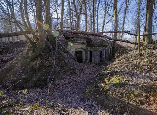 Abri du Kronprinz et mémorial américain à Varennes-en-Argonne